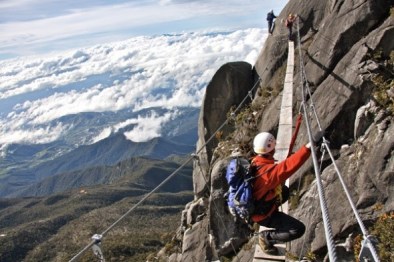 borneo3